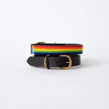 Stripe Dog Collar - Rainbow