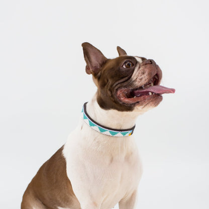 Triangle Dog Collar - Teal/White