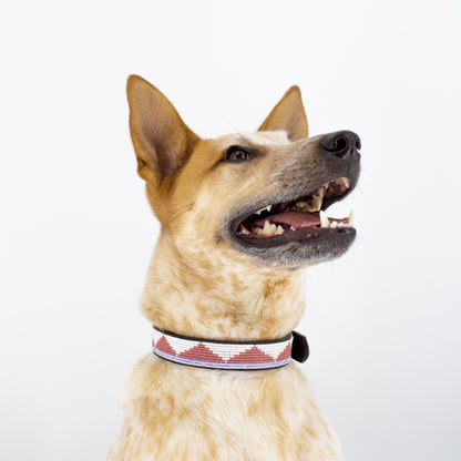 Triangle Dog Collar - Pink/White