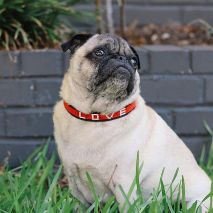 LOVE Dog Collar - Red/White